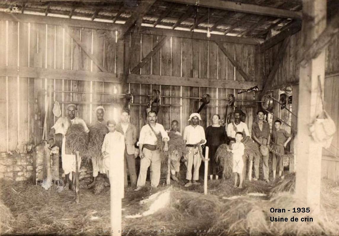 Oran SDV- 4830- Usine de crin- 1935.jpg